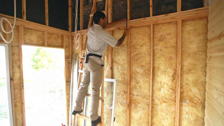 Best Insulation for Existing Homes  in USA